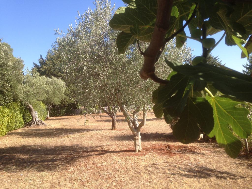Trullo Picchiagiuda Ostuni Exterior foto